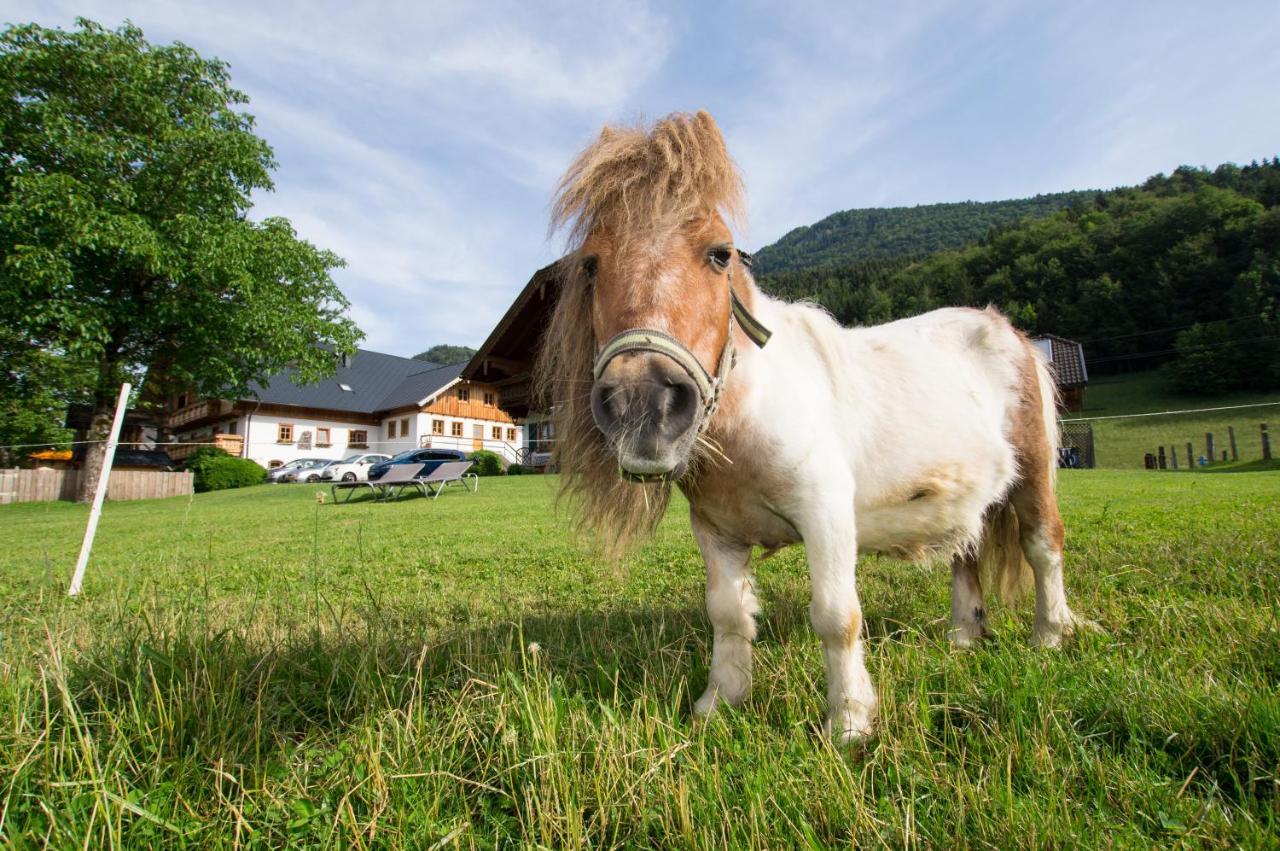 Bed and Breakfast Hauslhof Sankt Wolfgang im Salzkammergut Экстерьер фото